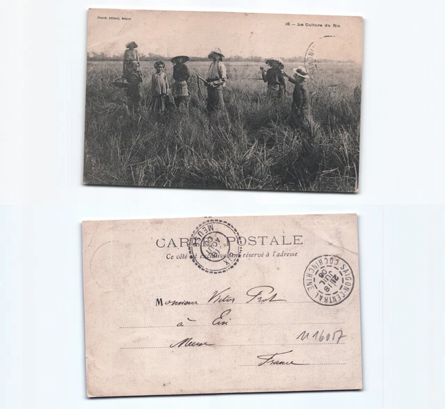 (n16057)   Reisbauern 1906   Ansichtskarte Indochina (französisch)