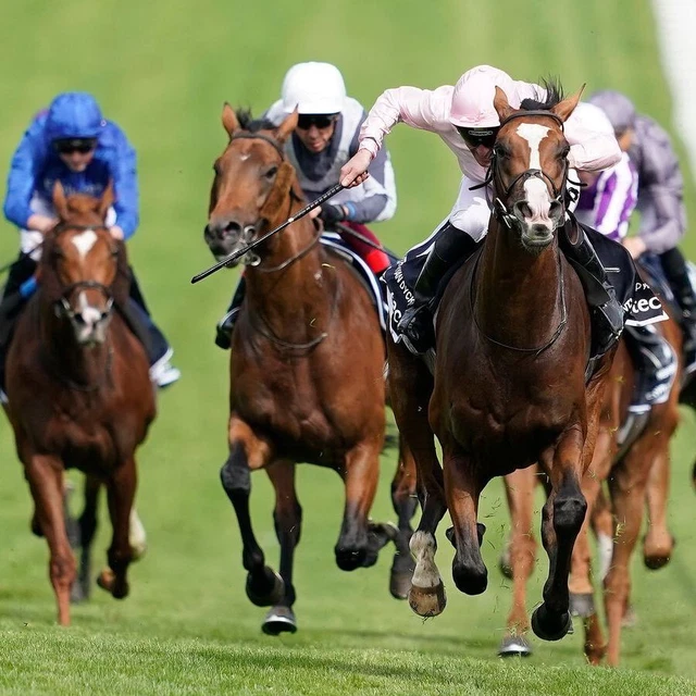 Super Simple 7 Step Lays Horse Racing System | £200+ pw Returns
