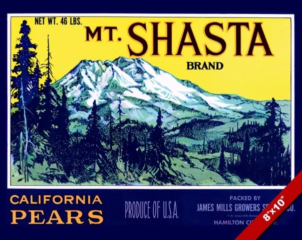 Vintage Mt Shasta California Pears Fruit Poster Food Art Real Canvas Print