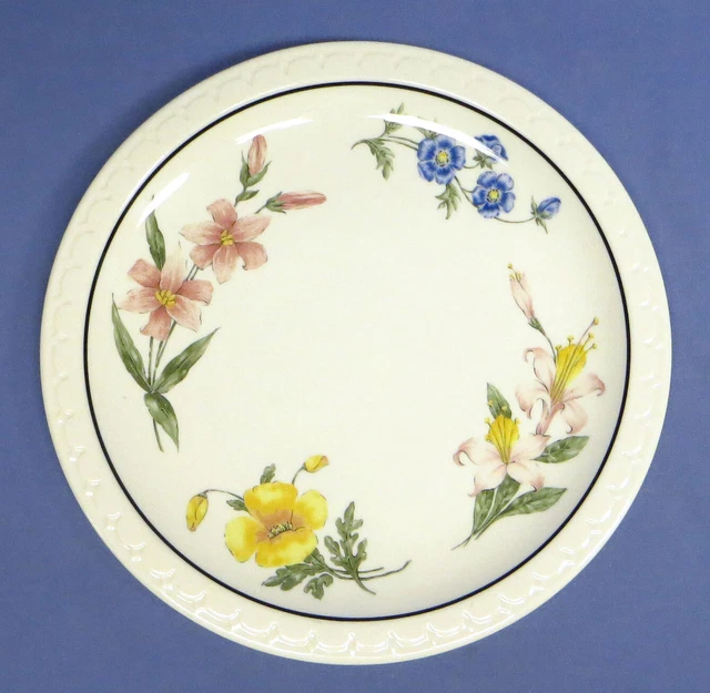 Rare Southern Pacific RR Prairie Mountain Wildflowers 9 1/2" Dinner Plate EXC!