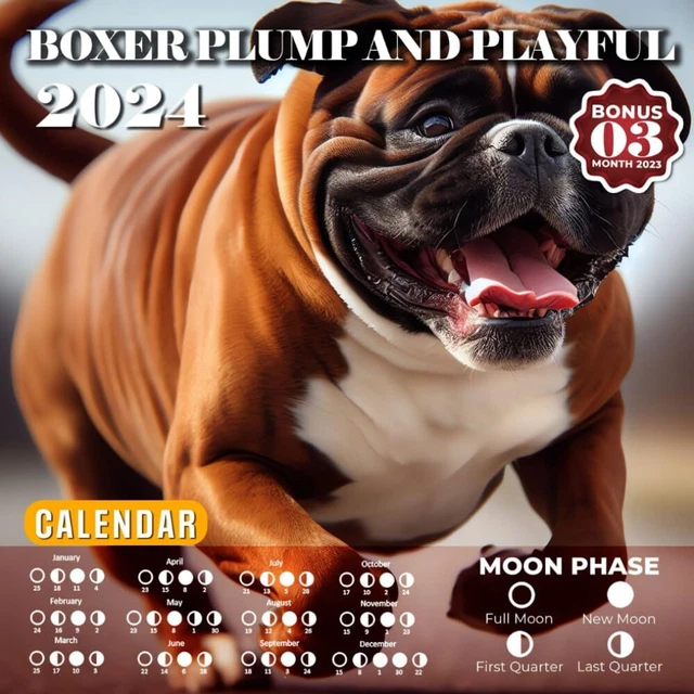 BOXER PLUMP AND Playful Calendar 2024 Jan 2024 to Dec 2024 Bonus 3