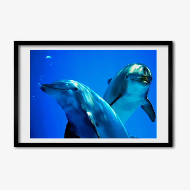 Impresiones Modernas para Decoración del Hogar Pinturas 60x40 Dos delfines