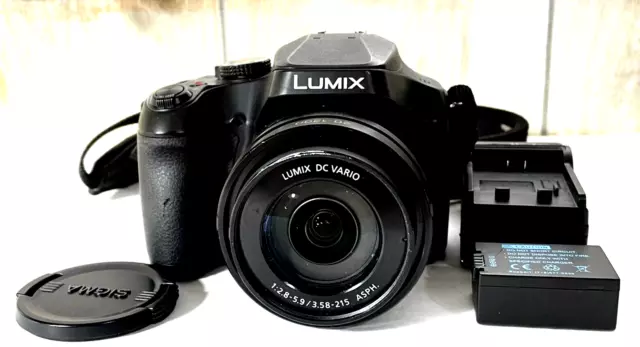 PANASONIC LUMIX FZ80 4K Digital Camera, 18.1 Megapixel Video Camera ...