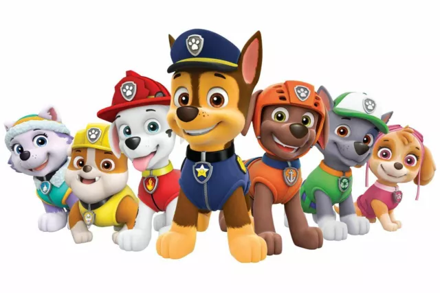 Paw Patrol Poster Bedroom Wall Art Printed on A3 Gloss Photo Paper