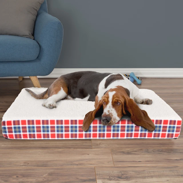 Large Dog Bed Orthopedic Memory Foam Zipper Cover 36 x 27 x 3.5 In
