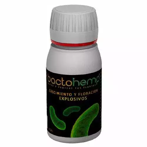 Aditivo en Polvo de Bacillus y Micorrizas Agrobacterias BactoHemp (50g)