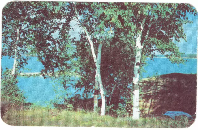 View At Pointe Aux Barques MI Caseville Port Austin Lake Huron 1952 Postcard 2c
