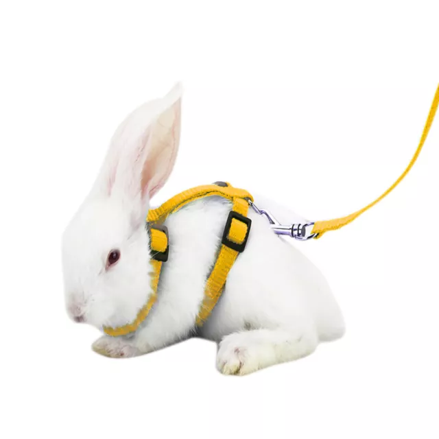 Rabbit Leash Solid Color Portable Polyester Pet Harness Leash Polyester 2