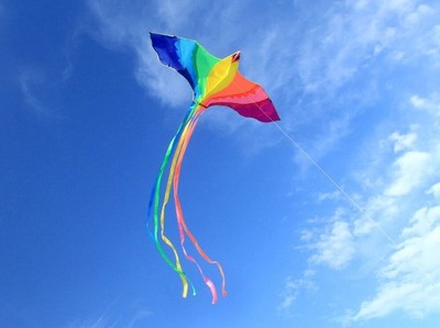 emma kites Holiday Delta Kite Surfing with 8.7in Lockable Kite Reel 500Ft 120Lb Dacron Kite Line Easy to Fly Kite Made for All Beginners Kids Adults Park Beach Games Outdoor Sports Great for Enjoyi 