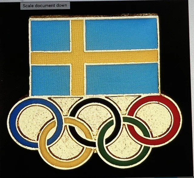 OLYMPIC PINS PIN Paris 2024 Sweden Noc 7.95 PicClick