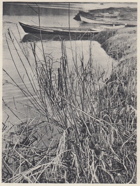 D8539 JABBAS ANCORATA Alle Rive Der Fluss Tot Druck Jahrgang 1936 D8539 JABBAS ANCORATA Alle Rive Der Fluss Tot Druck Jahrgang 1936