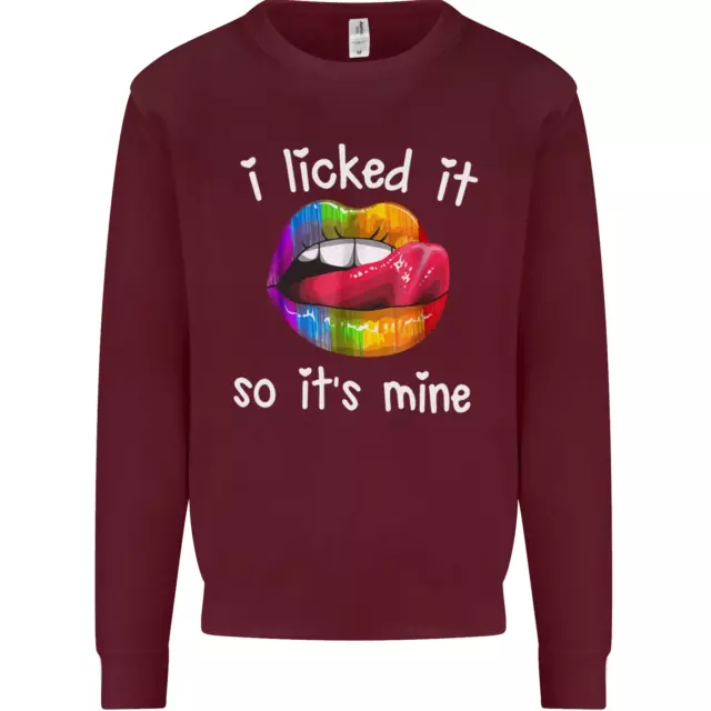 LGBT I Licked it So Its Mine Gay Pride Day Kids Sweatshirt Jumper 3