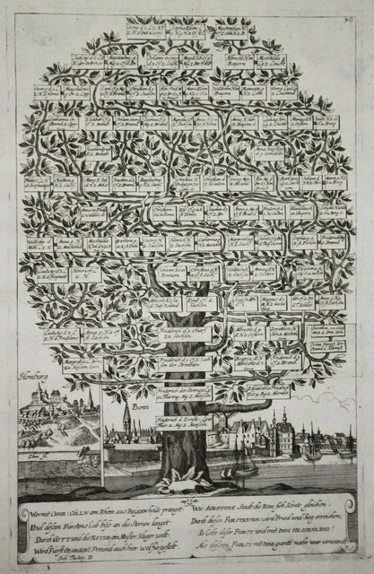 Bonn Homberg Ohm Hessen Aspecto Grabado Ceder-Baum 1661 Árbol Genealógico