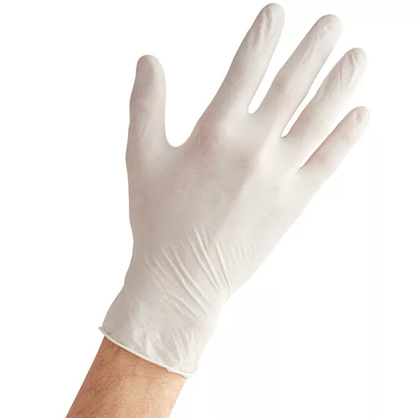 Noble Products Powder-Free Latex Gloves for Food Service (select size below)