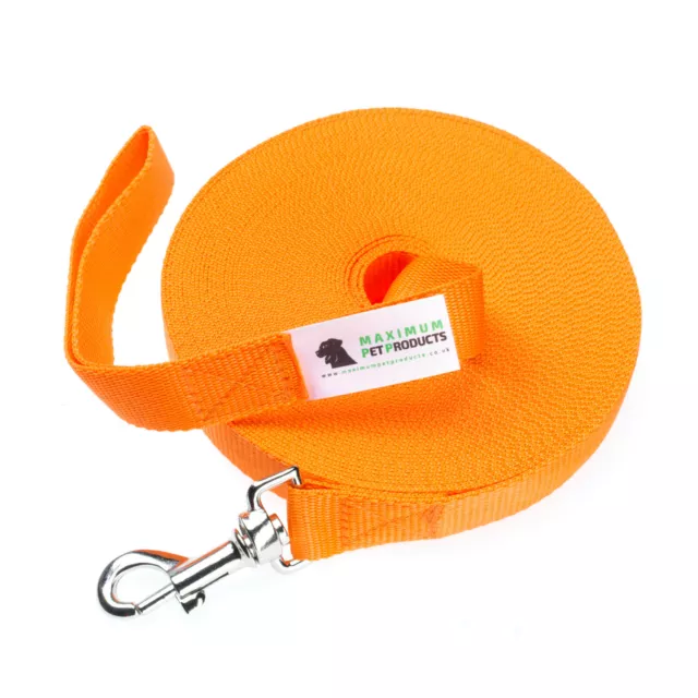 Dog Lead For Training, Tracking & Obedience Recall 50ft 15Meter Orange