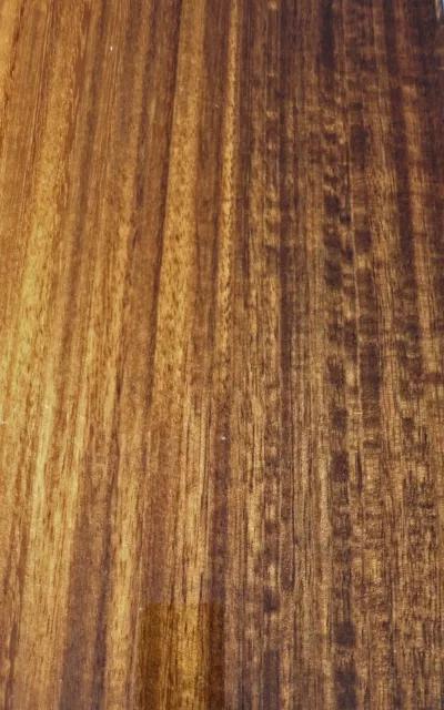 Eucalyptus Smoked Fumed wood veneer 6.5" x 24" raw no backing 1/42" thickness A