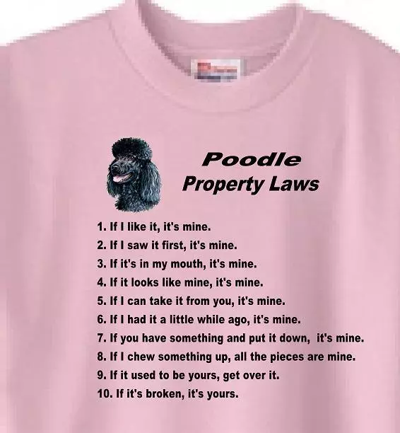 Dog T Shirt Men Women - Poodle Property Laws - Also Sweatshirt Available