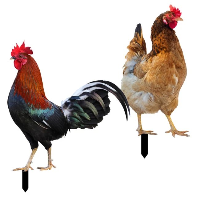 Realistic Chicken Rooster Yard Art Garden Stake Sculpture for Outdoor Decor