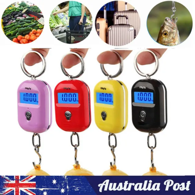 Digital Hanging Scale Mini Electronic Luggage Hook Scale LCD Backlight Steelyard