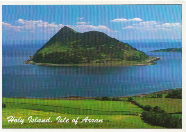 Scotland Postcard - Holy Island - Isle of Arran - Ayrshire - Ref TZ8441
