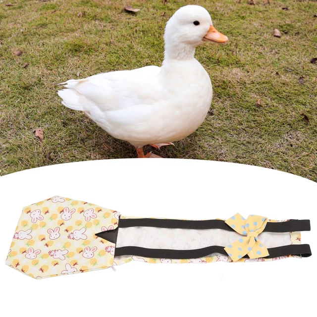 (Jaune) Couches De Poulet Pour Animaux De Compagnie Couches De Volaille