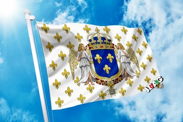 DRAPEAU ROYAUME DE FRANCE FLEURS DE LYS 90 x 150 cm Flag Banner 3 x 5 EUR  18,99 - PicClick FR