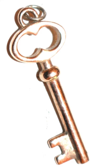 Vintage In Seattle fabulous miniature skeleton key charm Lot#2692