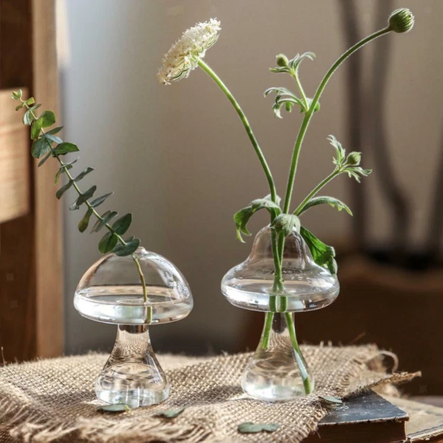 Questi vasi di vetro possono soddisfare tutti i requisiti per la decorazione