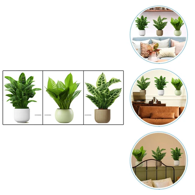 1 set adesivi da parete per piante in vaso, adesivi da parete per piante bonsai,