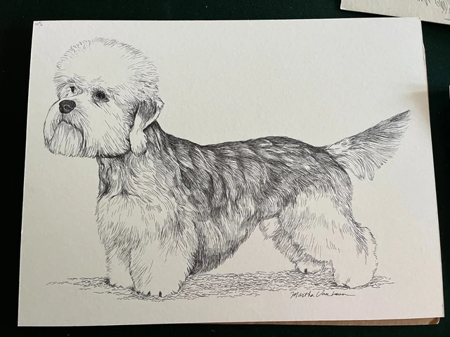 Dandie Dinmont Terrier  Van Loan Original Pen and Ink done by Van Loan