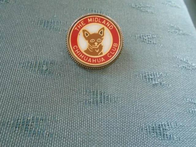 Midland chihuahua hot sale club