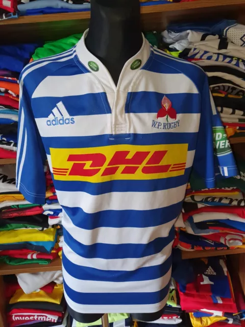 WESTERN PROVINCE WP 2014 RUGBY SHIRT SIZE XL ADIDAS SOUTH AFRICA UNION (t935)