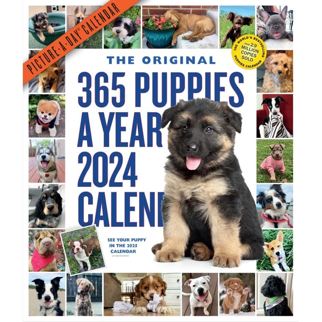 WORKMAN PUBLISHING, Puppies 365 Days 2024 Wall Calendar 19.17 PicClick
