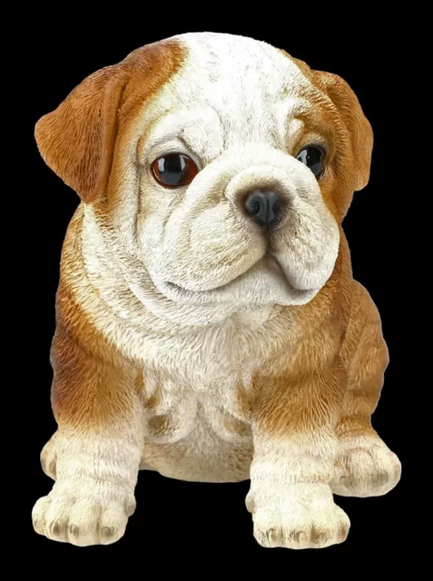 Chiens Figurine - Bouledogue Chiot - Sucré Hundebaby Chiot Déco