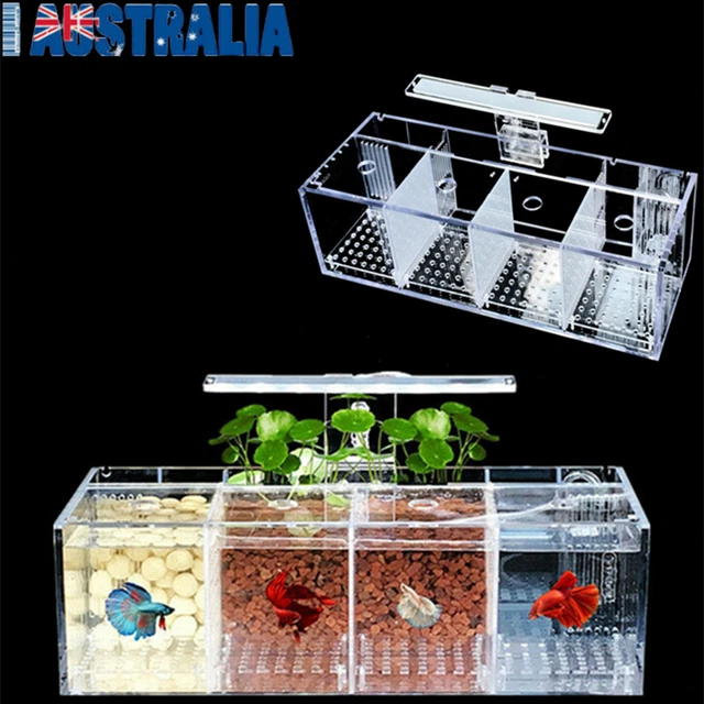 3/4Grid Acrylic Betta Fish Tank LED Light Mini Desktop Aquarium Water Pump