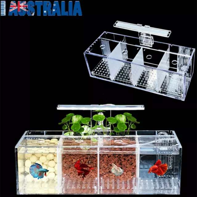 3/4Grid Acrylic Fighter Tank for Betta and Fighting Fish LED Light w/ Water Pump