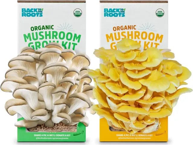 Unicorn Bags 4A OxoD Mushroom Grow Bag Extra Small Polypropylene 4″ x 3″ x  18″ 0.5 Micron Filter Biodegradable – Brown Cap Farms