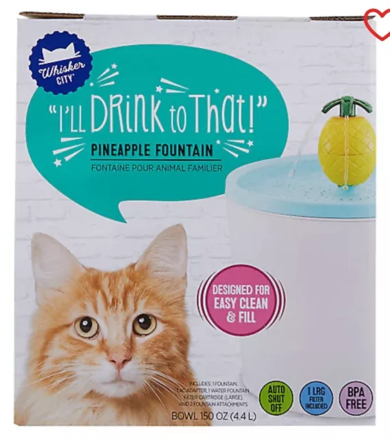 Whisker City cat water fountain with additional filters