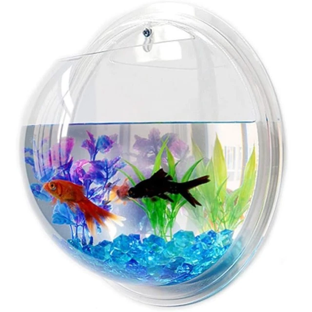Fish Tank Bowl 5.9-inch Wall Mounted Beta Fish Small Aquarium Hanging Wall Decor