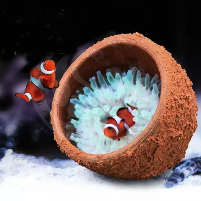 Anemone Nest Running Away Clay Live Rock Hand Made Aquarium Reef Tank Plants