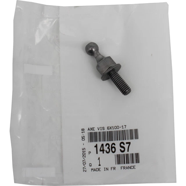 Original CITROEN / PEUGEOT Einspritzdüsen / Einspritzventile - 16 131 812 80