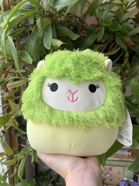 Squishmallow green alpaca hotsell