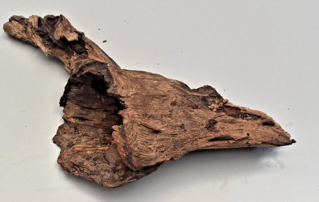 Driftwood Natural Tree Trunk Aquarium Fish Tank Reptile Foliage Deco Length12 in
