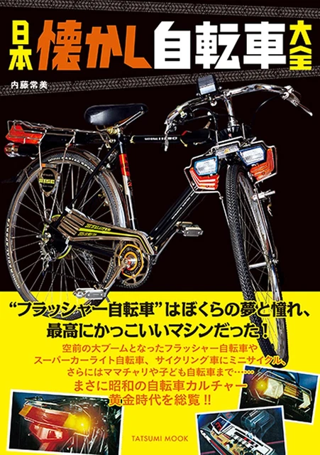 Livre Photo Hitomi Hayasaka Karami - Actrice Japonaise - Magazine Mook - Occasion - Japon