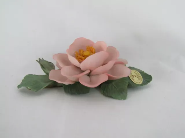 Capodimonte Porcellane  Napoleon Pale Pink with Yellow Center Single Flower with