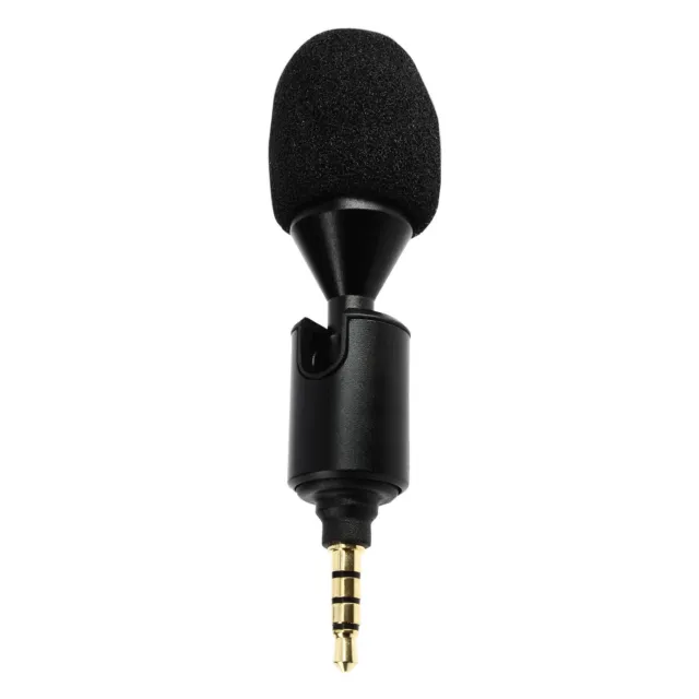 Microphones externes (en option), Manuel d'utilisation DC-BGH1