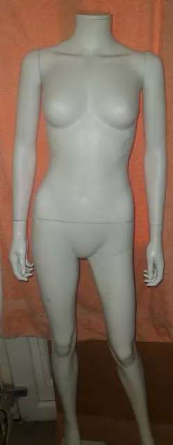 Brand New Full Body Mannequin Shop Window Display Dummy Tailors Tummy  Dressmaker
