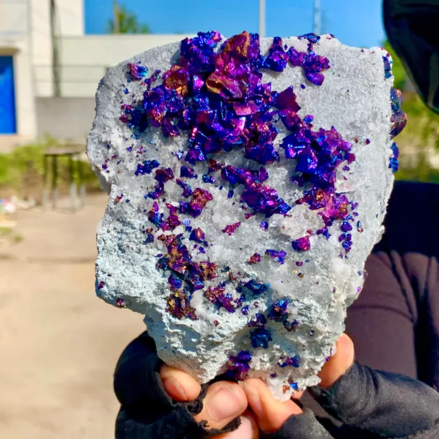 1.33LB Natural Colorful Chalcopyrite Calci Crystal ClustRare Mineral Specimen