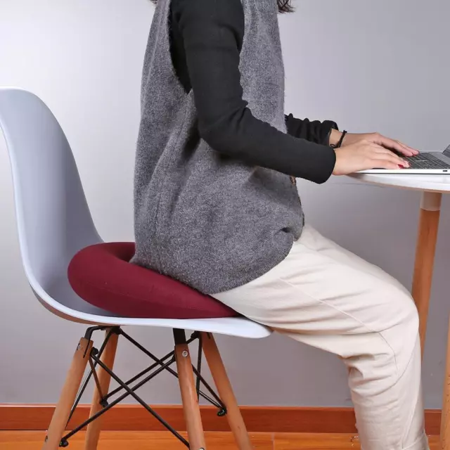 Hip Support Medical Hemorrhoid Seat Pad Inflatable Anti Bedsore (Red)