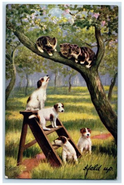 Postcard Terrier Puppies and Cats c1910 Unposted Antique Oilette Tuck Dogs